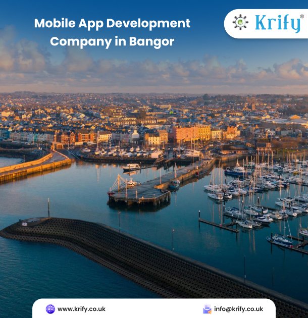mobile app development company in Bangor